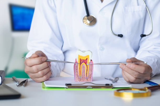 Best Knocked-Out Tooth Emergency  in Havana, IL